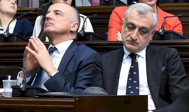 გალიაში ბულბულები კი არა...