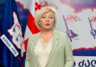 თამარ ჩიბურდანიძე: საარჩევნო უბნების ალყაში მოქცევა და