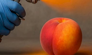 შეღებილი ატამი და ნირწამხდარი ქლიავი