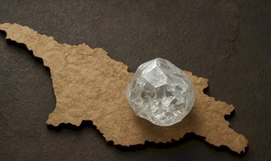 მე ჩემი სამშობლო მეფიქრება...