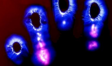 იცით, რა არის გავვა?