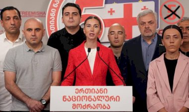 პოლიტიკაში დაკარგულები