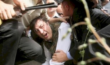 ყველამ ნახეთ, როგორ იხოხიალა მიშამ გორში