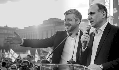 ელისაშვილის დოქტრინა და მერად წარდგენილი ვინმე კუპრავა