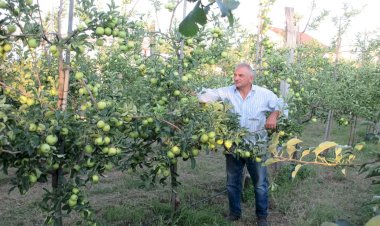 გლობალური სასურსათო ვაჭრობა