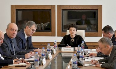 თეა წულუკიანმა დროებითი საგამოძიებო კომისიის დასკვნა დადო