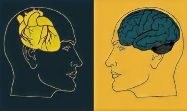 ლოგიკური აზროვნების ლაბირინთები