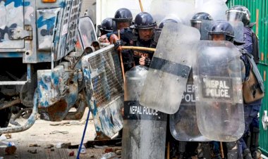 თბილისი ცოცხალი ორგანიზმია