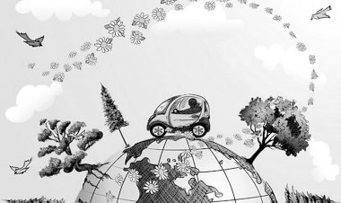 ორჰუსის კონვენცია: სტრასბურგის სასამართლოს ეკოლოგიასთან დაკავშირებული