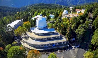 რა გვჭირს დედამიწელებს?!