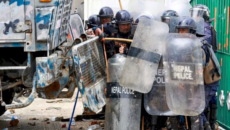 თბილისი ცოცხალი ორგანიზმია