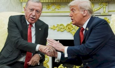 ნეიტრალიტეტი - „რა ჩემი საქმეა, თვითონ მორიგდებიან...“