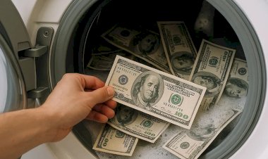 ფულის გათეთრების ანატომია