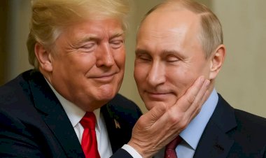 დონალდ ფრედოვიჩის ცხრა პარასკევი