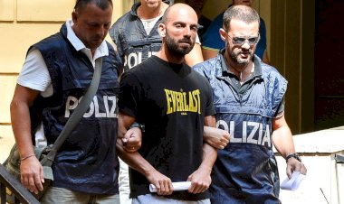 ორგანიზებული დანაშაულის ანატომია