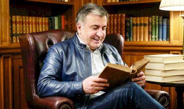 მიხოს ლიტერატურული სამყარო