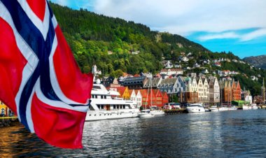 ჭკვიანი ვიკინგები