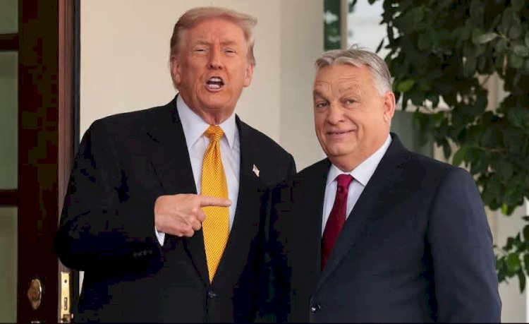 მინეაპოლისში მიმდინარე საპროტესტო აქციაზე სამართალდამცველებმა დემონსტრანტების წინააღმდეგ ქიმიური ნივთიერებები გამოიყენეს. ინფორმაციას ამის შესახებ „სიენენი“ ავრცელებს.