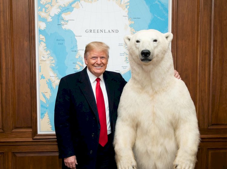 ვისია, ვისია, გრენლანდია თეთრი?!