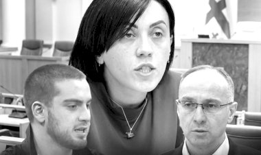 „ნაციონალი“ ანიკო და მიშას ბიჭი ვარდენა