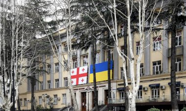 ბრიყვები ილიაუნიდან