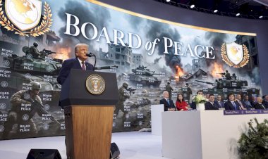 იქნება მშვიდობის საბჭო მშვიდობის გარანტი?