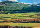 მიწა არის სხეული, რომელსაც გენეტიკური კოდი აქვს
