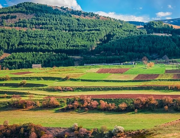 მიწა არის სხეული, რომელსაც გენეტიკური კოდი აქვს