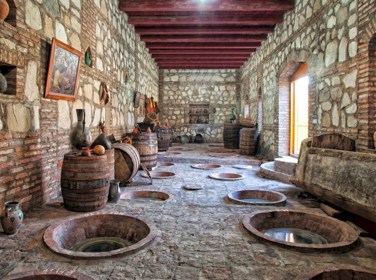 ვენახი